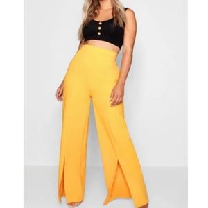 Golden Pleated Pants w/ Slit
